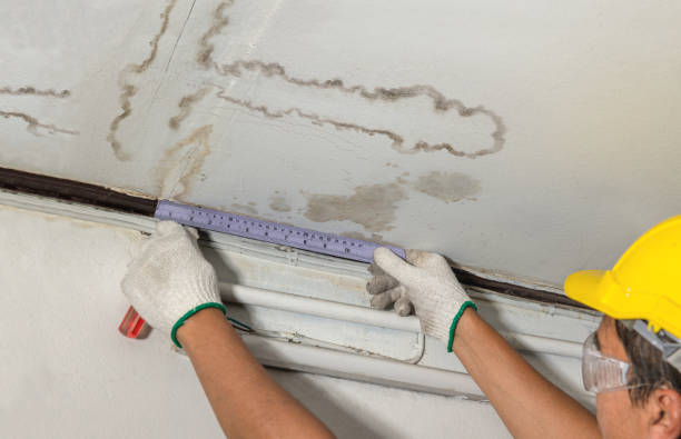Reliable Sewage Cleanup contractor in Algonquin, IL by Water Damage Irwin